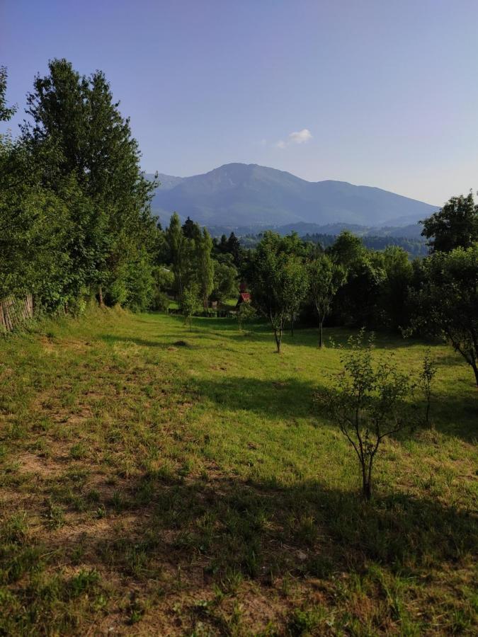 Casa Danci Centru Villa Borşa Exteriör bild