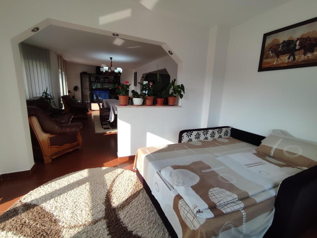 Casa Danci Centru Villa Borşa Exteriör bild