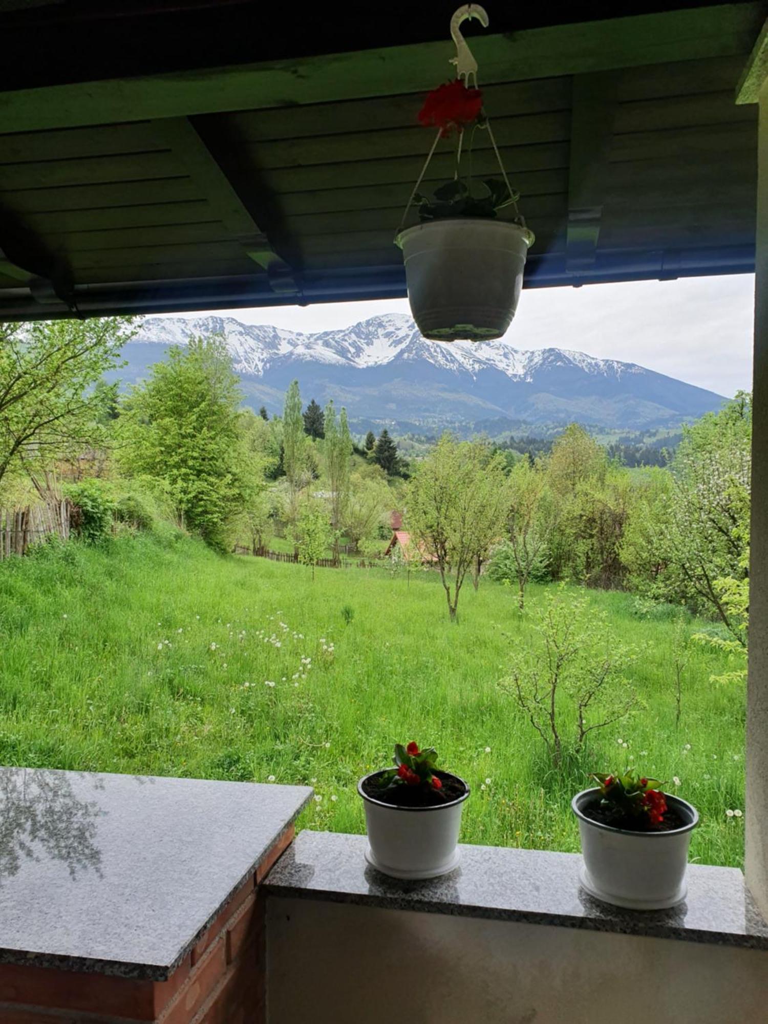 Casa Danci Centru Villa Borşa Rum bild