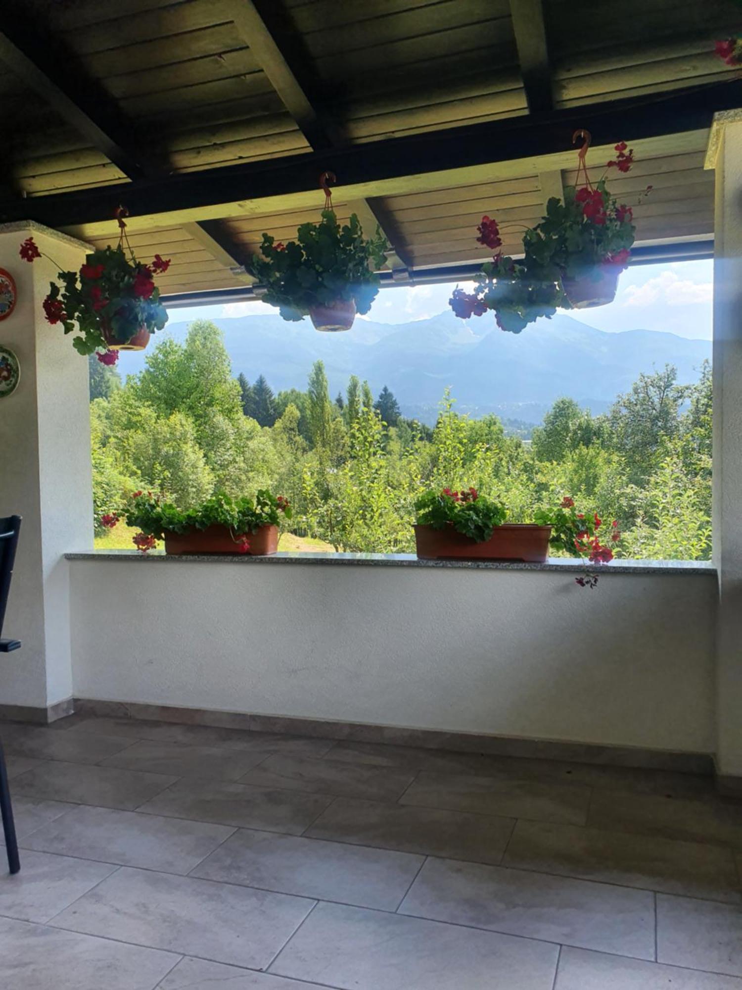 Casa Danci Centru Villa Borşa Exteriör bild