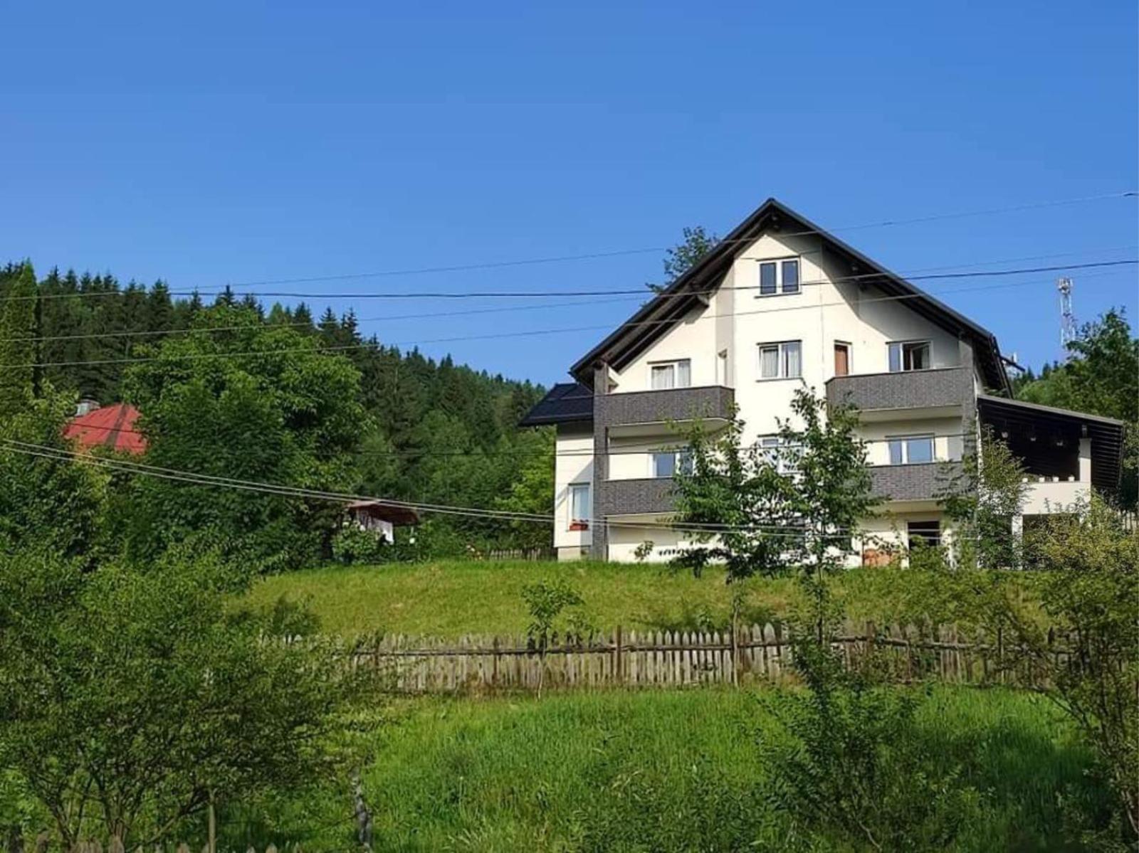 Casa Danci Centru Villa Borşa Exteriör bild